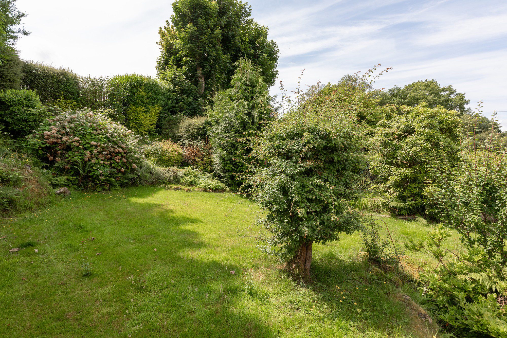 Orchard Park Avenue, Giffnock Nicol Estate Agents